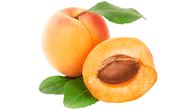apricot
