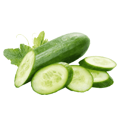 Cucumber